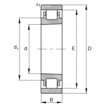 110 mm x 170 mm x 28 mm  FAG N1022-K-M1-SP Rolamentos cilíndricos