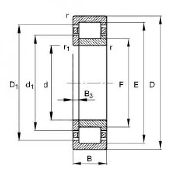 120 mm x 215 mm x 58 mm  FAG NUP2224-E-TVP2 Rolamentos cilíndricos