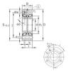 25 mm x 75 mm x 28 mm  INA ZKLF2575-2RS-PE Rolamentos de esferas de impulso #3 small image