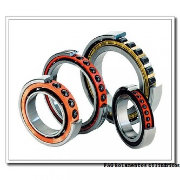 40 mm x 90 mm x 33 mm  FAG NJ2308-E-TVP2 + HJ2308-E Rolamentos cilíndricos #1 image